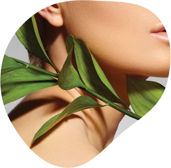 Essential Info & Answers